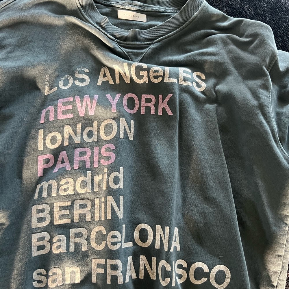 Anine Bing Faded Blue Graphic sweater